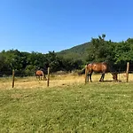別荘 Mas Ca La Rossa ジローナ