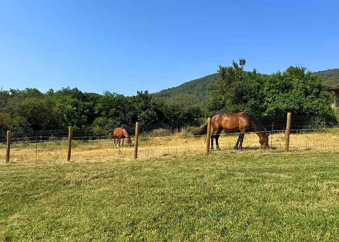 Casa vacanze Mas Ca La Rossa Girona